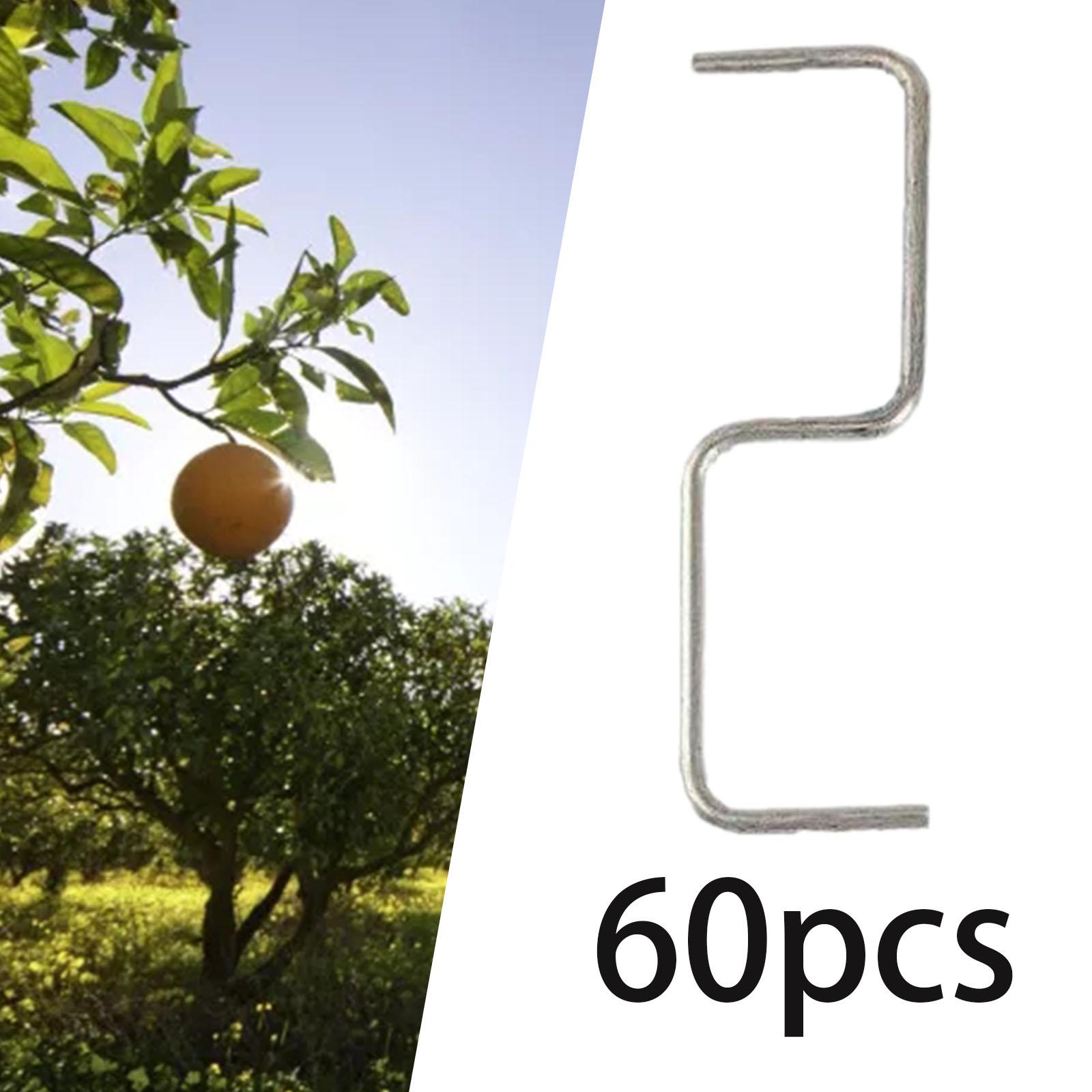 60 Pieces Fruit Tree Branch Pu - Fruit Roll Up 评论和价格