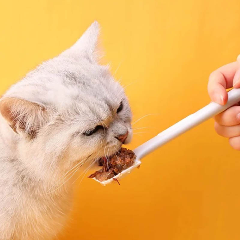 For wet food cans snacks easy  - Food Snacks Easy 评论和价格